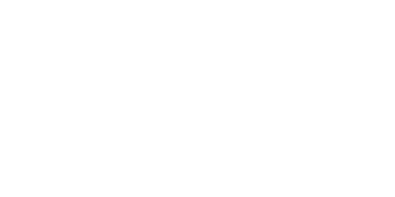심원